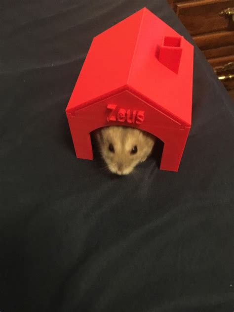 Zeus Enjoying His New 3d Printed House This Is The Only