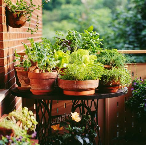 35 Patio Potted Plant And Flower Ideas Creative And Lovely Photos