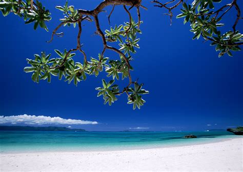 Free Download Working Space Desktop Wallpaper Beach Scenes Caribbean