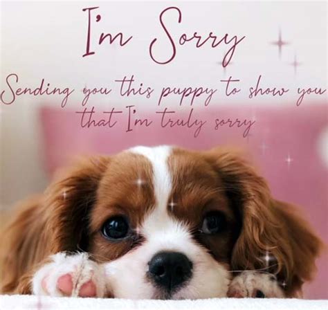 A Puppy To Say Im Sorry Free Sorry Ecards Greeting Cards 123 Greetings