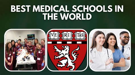 Top 10 Best Medical Schools In The World 2022