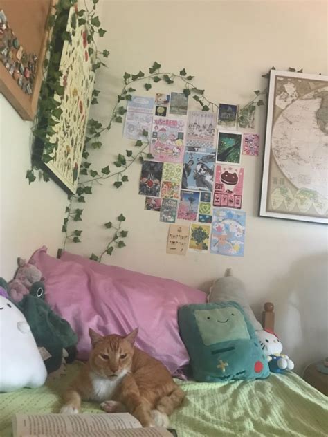Cat Aesthetic Cute Reading Verity Colleen Hoover Bedroom Inspo
