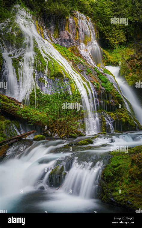 Panther Creek Falls Is A 130 Foot 40 M Waterfall On Panther Creek In