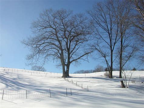 Snowy Field By Equusstock On Deviantart