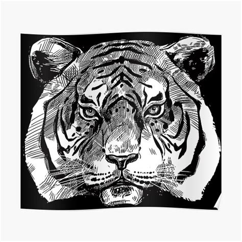 Tiger Art Of Zoo Tiger Lovers Ts Poster For Sale By Artistsasma
