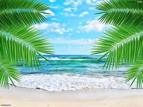 Wallpaper Murals Tropical Beach Just For Sharing