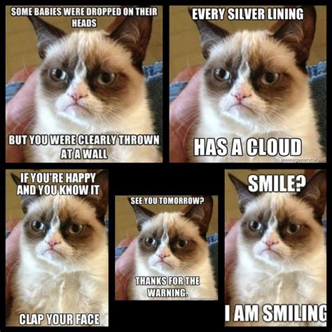 Grumpy Cat Funny Sayings Lolz Pinterest Cats Grumpy