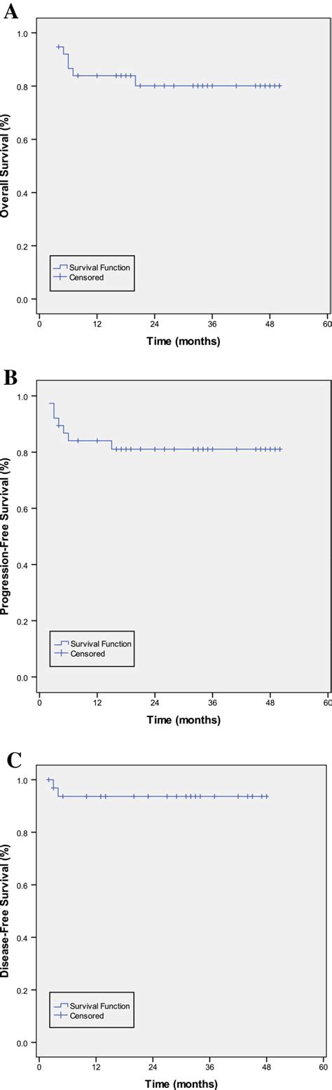 The Survival Curves Of 38 Newly Diagnosed Extranodal Nkt Cell Download Scientific Diagram