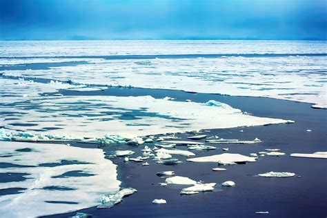 Polar Ice Caps Are Melting Six Times Faster One Green Planet