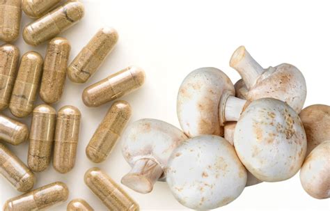 Benefits Of Magic Mushroom Capsules Canna Express