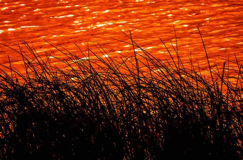 Sunset Rush Photograph By Brian Stevens