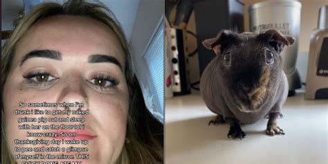 Woman Shocked To Discover Guinea Pig Ate Her Bangs Off