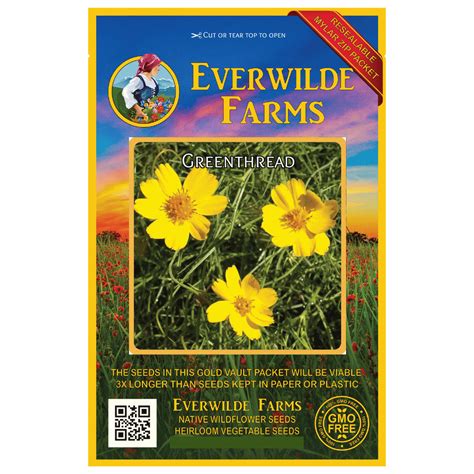 Everwilde Farms 500 Greenthread Native Wildflower Seeds Gold Vault