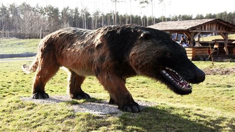 19 Terrifying Animals Youre Glad Are Extinct Funnycattv