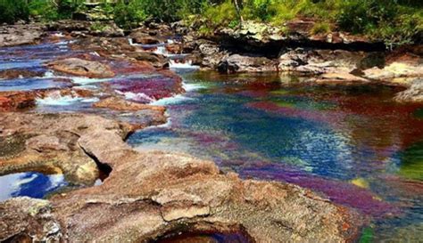 Maybe you would like to learn more about one of these? Dónde queda Caño Cristales? - DestinColombia.com