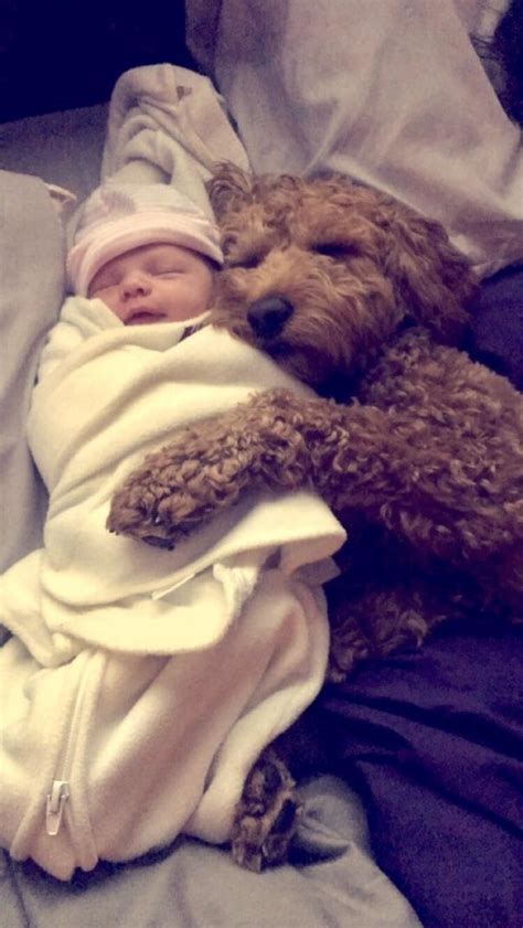 My Dog And Newborn Daughter Are Already Bffs Cute Little Animals