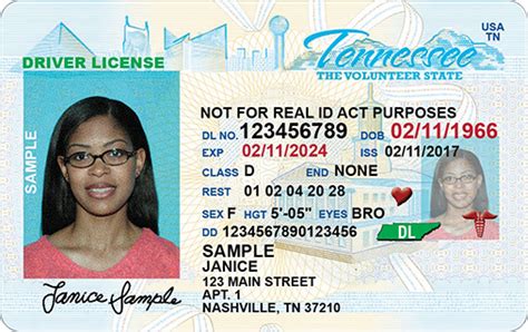 What Is Real Id