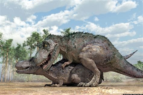 Dinosaur Sex Study Answers Prickly Question About How Spiked Dinos