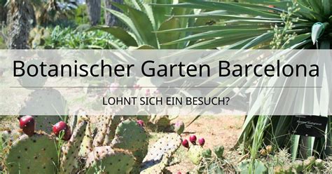 Address, phone number, botanischer barcelona, spain18 contributions. Botanischer Garten in Barcelona Jardi Botanic | Lohnt er sich?