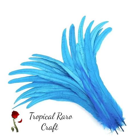 50pcs Lots One Tone Colored Rooster Tail Feathers Tropical Raro Craft