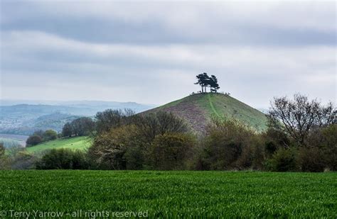 Colmers Hill Symondsbury Dorset Places To See Places To Go