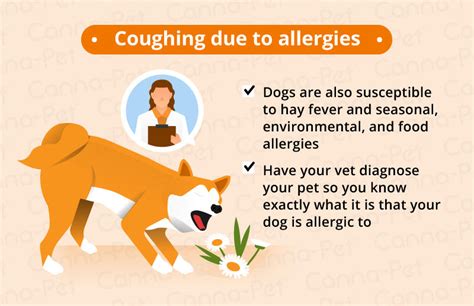 Your vet just told you it could be a food allergy. Allergy To Dogs Symptoms Sore Throat - Goldenacresdogs.com