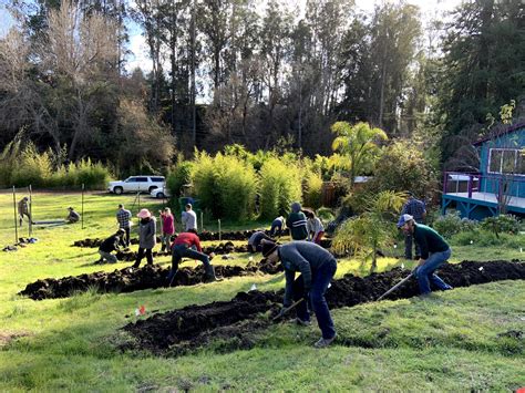 Rainwater Harvesting Berms And Swales Santa Cruz Permaculture