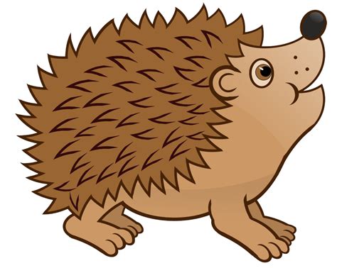 Transparent Background Hedgehog Clipart Clip Art Library Images And