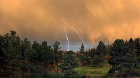 Forest Lightning Cloud Lights Summer Storm Landscape
