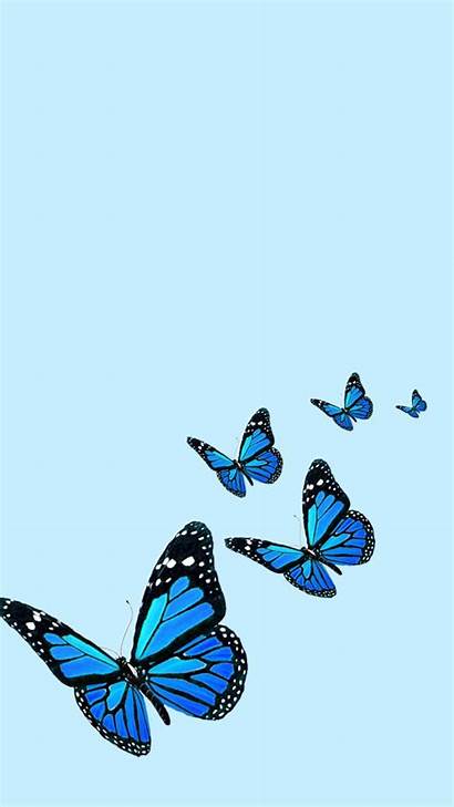 Butterfly Aesthetic Iphone Wallpapers Flower Follow Cool