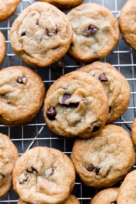 Sally S Baking Addiction Chocolate Chip Cookies Two Delicious Recipes