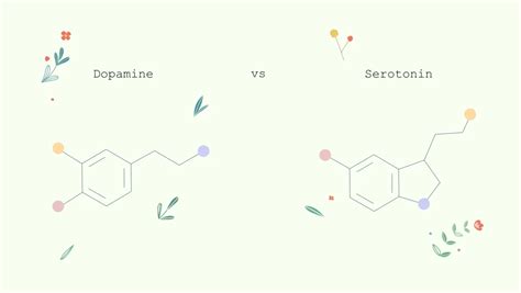 Whats The Difference Between Dopamine And Serotonin Sleep Guides