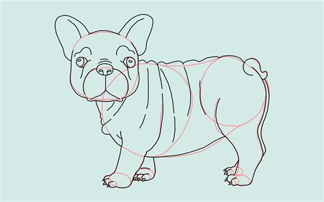 How To Draw A Dog A Simple Step By Step Guide For Everyone Thought