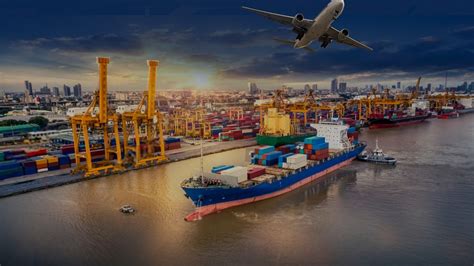 Efficiency in International Trade Logistics - TEP LTD
