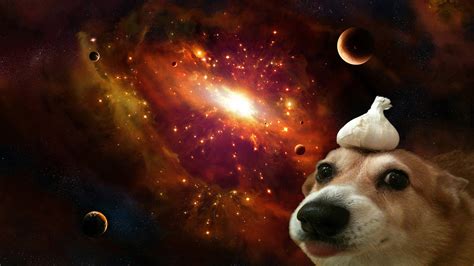 Deep Space Doggo 1920x1080 Wallpapers