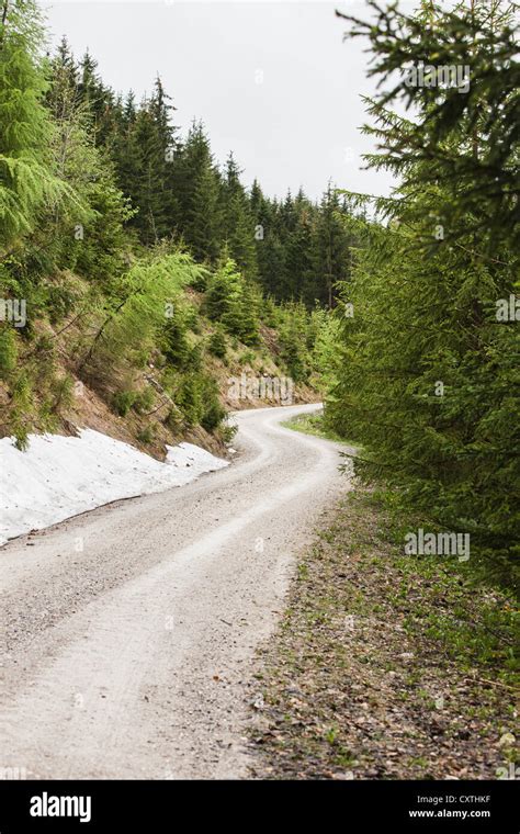 Gravel Road In Woods Hi Res Stock Photography And Images Alamy