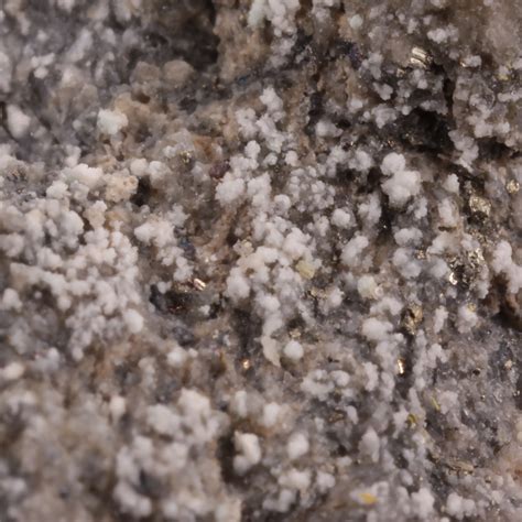 Petzite With Hessite Rex Mine Gold Hill Dist Boulder Co Colorado