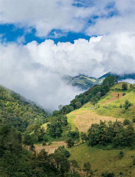 Cuatro Palos El Mirador De México Revista Vía México