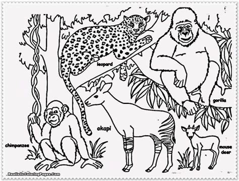 Brilliant Picture Of Jungle Animal Coloring Pages Jungle Coloring