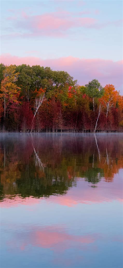 Autumn Trees Wallpaper 4k Forest Body Of Water Reflection Lake