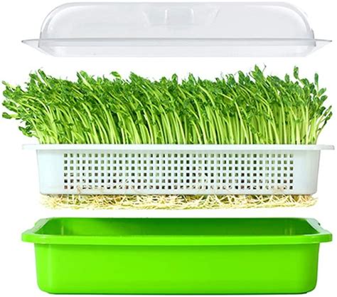 Seed Sprouter Germination Kit Dro Solutions For Natural Health