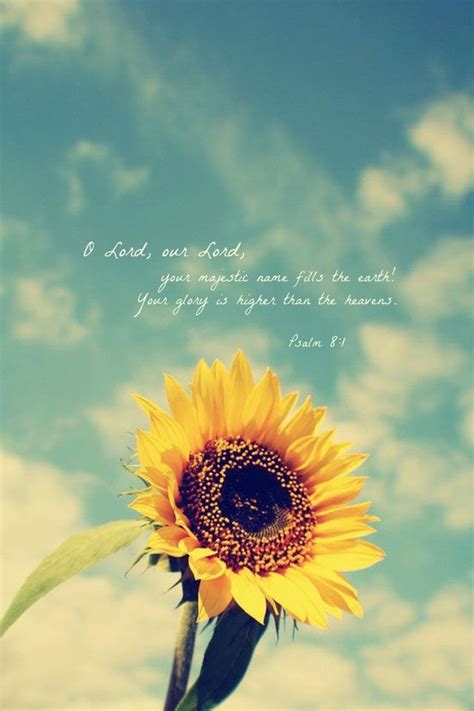 Sunflower Wallpaper With Quotes Quotesgram