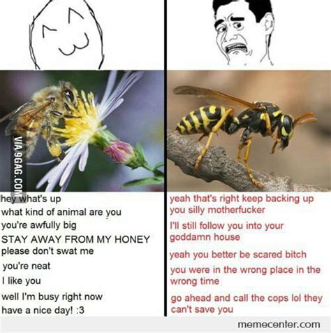 Bees Vs Wasps 9gag