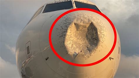 Photos Reveal How Much Damage Occurs When Planes Hit Birds