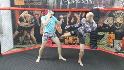How To Throw A Leg Kick Step By Step Guide Sweet Science Of Fighting