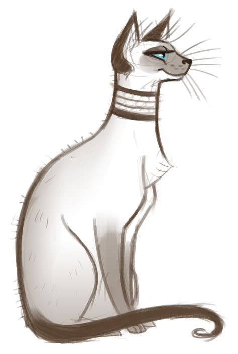 Siamese Cat Drawing At Getdrawings Free Download