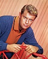 At the Movies: Troy Donahue