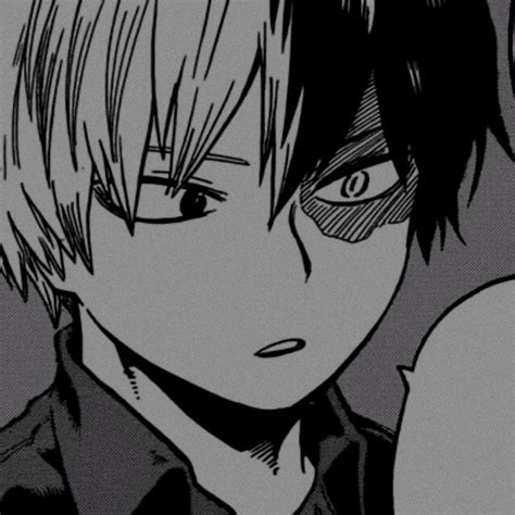 Anime Pfp Todoroki