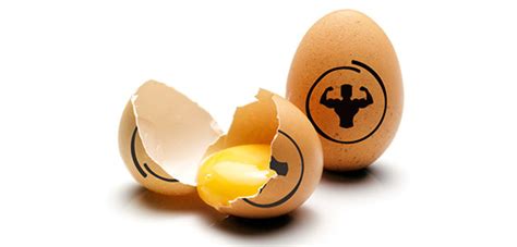 Egg Protein Benefits On Health And Training Health Articles
