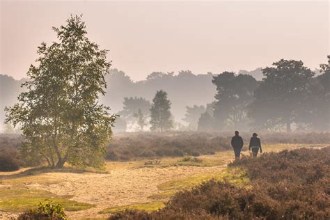 Dies Sind Die 10 Schönsten Wandertouren In Der Veluwe Topparken